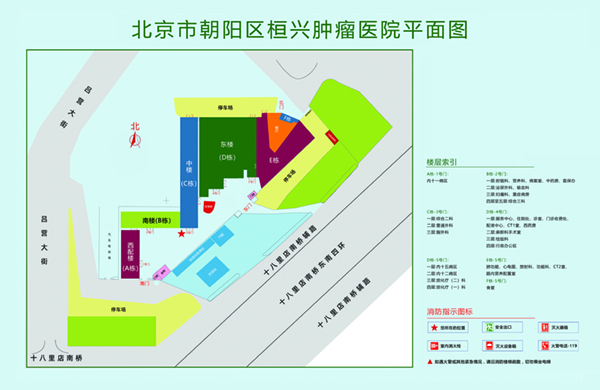 大鸡巴狠狠插入视频北京市朝阳区桓兴肿瘤医院平面图